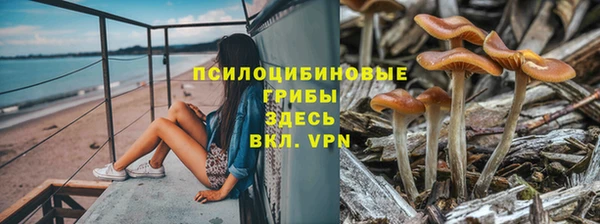 ALPHA PVP Михайловск