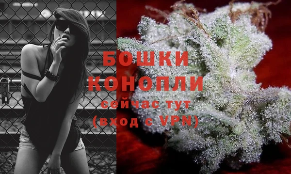 дживик Михайлов