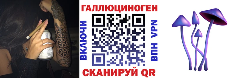 как найти наркотики  Улан-Удэ  MEGA как зайти  Галлюциногенные грибы Psilocybe 