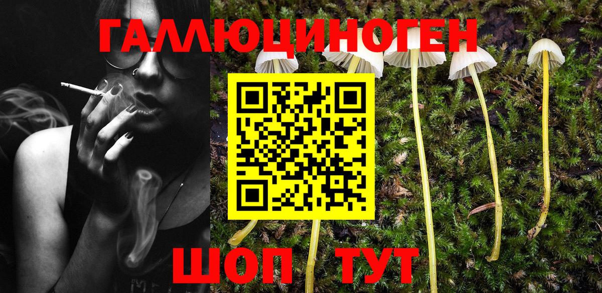 Галлюциногенные грибы Psilocybine cubensis Улан-Удэ